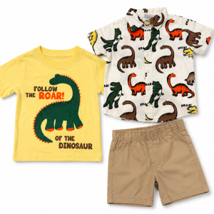 Ens 3pc DINO du 2 au 4 ans